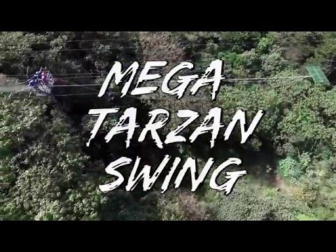 Mega Tarzan Swing