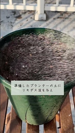 [Summer Vegetable Seedlings] Before and After Planting: Key Points for Better Growth [Hyponex] [L...