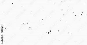 4k flying butterfly silhouette.