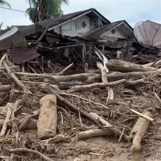 Aftermath: Piles of logs allegedly from illegal logging sites were found washed into villages after the floods, showing how human actions are making disasters even worse. 📍 Desa Huta Godang, Tapanuli Selatan, North Sumatra, Indonesia The number of deaths has now passed 303, with many people still missing. Homes have been destroyed, and roads and bridges are gone, leaving several areas completely cut off.Aftermath: Piles of logs allegedly from illegal logging sites were found washed into village