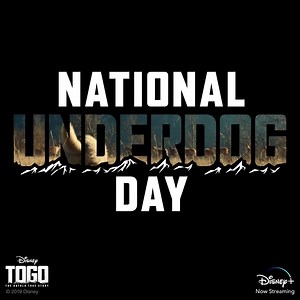 57K views · 160 reactions | An underdog named for an underdog. Togo, an Original Movie, is now streaming on Disney+. | Walt Disney Studios | Facebook