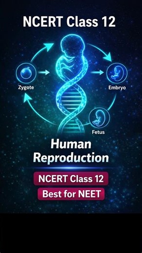 Human Reproduction 9 😱 | NCERT Class 12 | NEET 2026 #Quick Revision Shorts #biology #neetmcqs