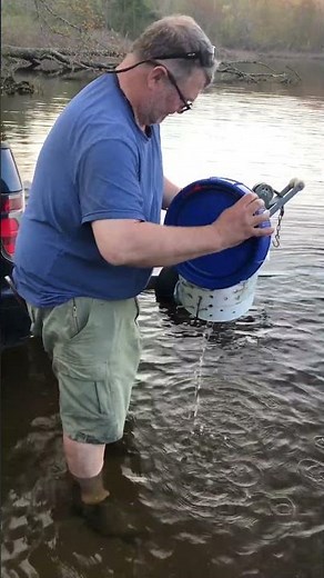 Quick fiddlehead cleaning