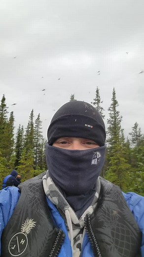 Wildlife Adventures on the Noatak River in Alaska