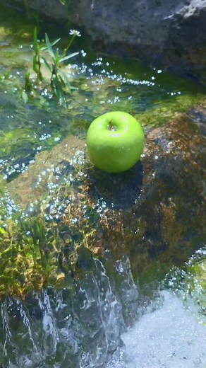 Exploring the Iconic Apple Brand