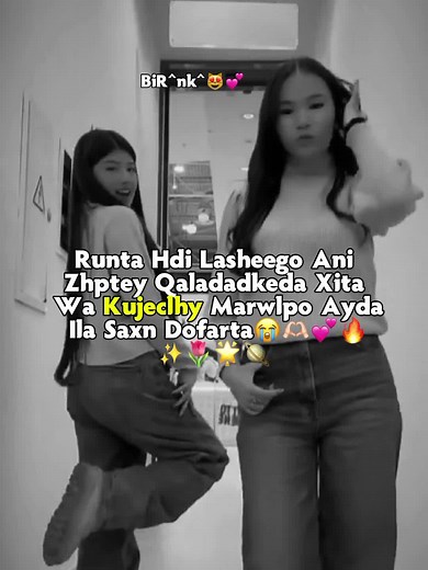 حسابات مقترحة