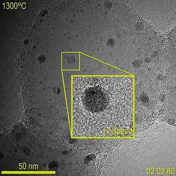 OneView IS Camera: Large FOV with high frame rate