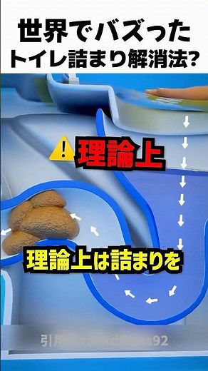 理論上正解トイレの詰まり解消法🚽