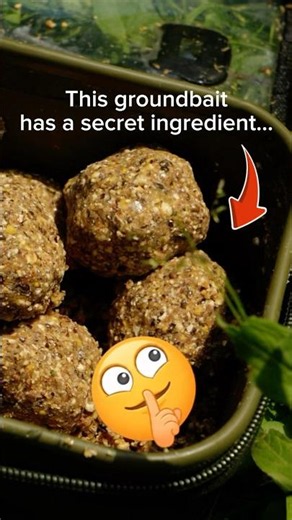 This Groundbait Has a Secret Ingredient 👀 Ali Hamidi Had Only Seen In South Africa 🇿🇦 #fishing