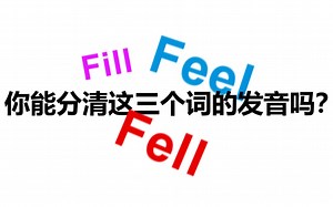 发音区别feel,fill,fell?王某硬核极简英语口语教学
