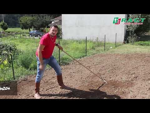 Préparer sa pelouse et la technique du faux semis