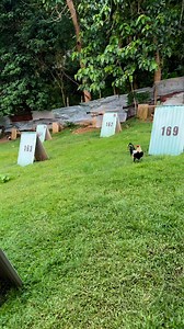 Win Win Win on Reels