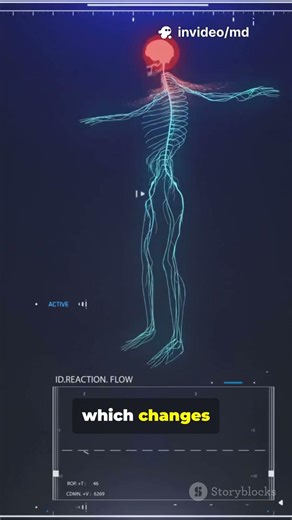 This Scan Shows Your Thoughts? fMRI in 60 Seconds