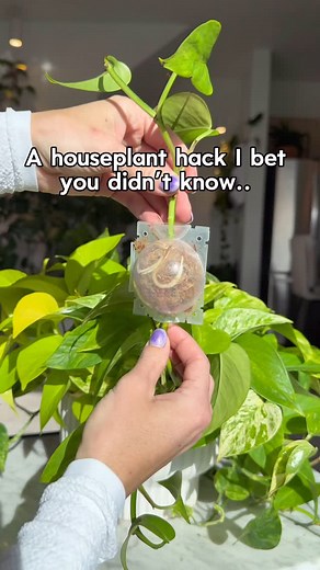 34K views · 4.2K reactions | This is BY FAR the easiest way to...