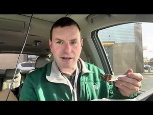 Wellsboro Diner! Visit and Pie!!