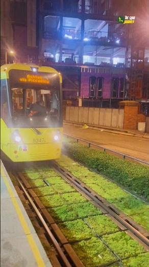 Tram in Manchester UK 🇬🇧 | City Tram Ride & Urban Travel Experience