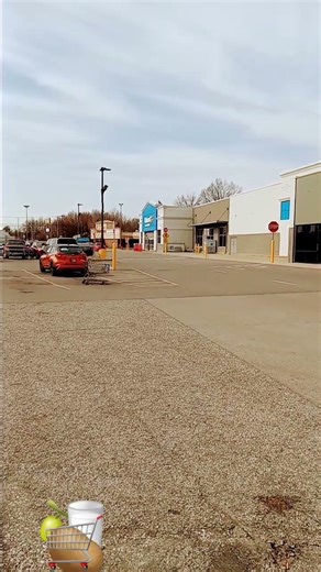 Walmart supermarket voice over video