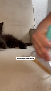 This Mother’s Day, give the gift of a fur-free home. Whether she’s a pet mom, a clean freak, or just tired of fighting embedded pet hair, the Uproot Cleaner is the tool she didn’t know she needed. It’s powerful, reusable, and oddly satisfying to use and now it’s 15% OFF with code MOM15. Give her a cleaner home and one less thing to worry about. Shop now and save - limited time only. | Uproot Clean | Facebook