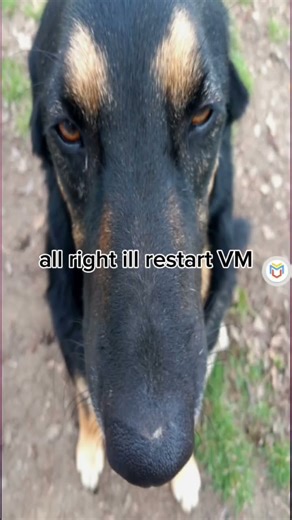 part 3 of testing viruses #malwarebytes #computermalware #testingviruses #malicioussoftware #shorts