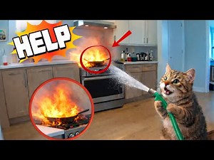 Cat Protects Baby - Heartwarming Cat Moments!