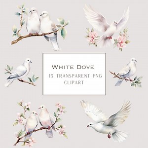 Watercolor Dove Clipart: White Dove With Olive Branch PNG (digital Download) - Etsy UK