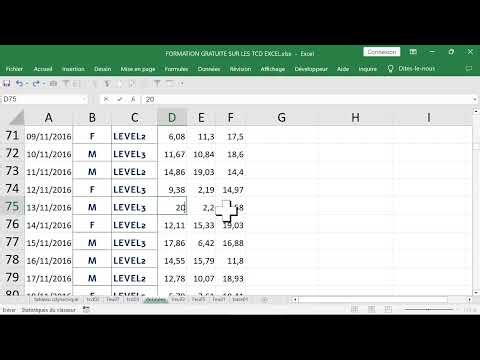 APPRENDRE EXCEL LES TABLEAUX CROISES DYNAMIQUES EXEMPLE PRATIQUE