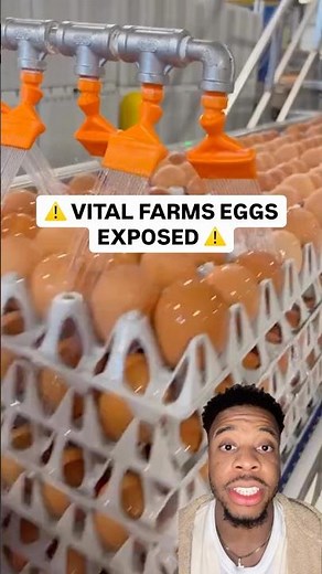 Vital Farms Eggs EXPOSED ⚠️🍳 #food #eggs #health