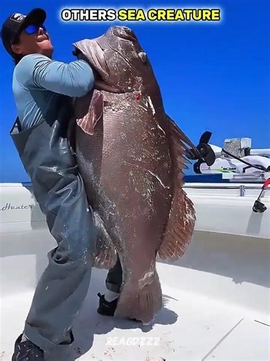 Normal sea creatures vs the last one 🥶