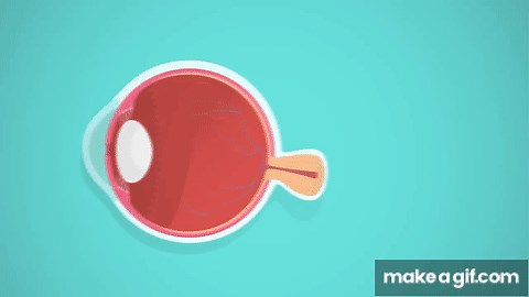 Vision: Crash Course A&P #18 on Make a GIF