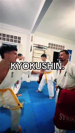 Kyokushin Leg Conditioning Techniques for Karate