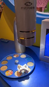 10K views · 12 reactions | Putting a bone under a microscope 勞 . . #reels #fbreels #viralvideos #shorts #fyp | Original Videos from Adrian Lomeli | Facebook