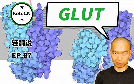 EP.87 葡萄糖转运蛋白 | KetoCN