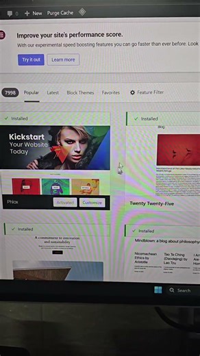 What are themes in WordPress website #wordpresstutorial #wordpress2026 #wordpress
