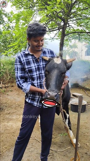 MM Vlogs | Arokya milk add Funny 🤣#mediamonkeys #mmvlogs #reels #puviyarasan #cakebrothers #funnyvideo #reel #catlover #comedy #comedyvideos... | Instagram