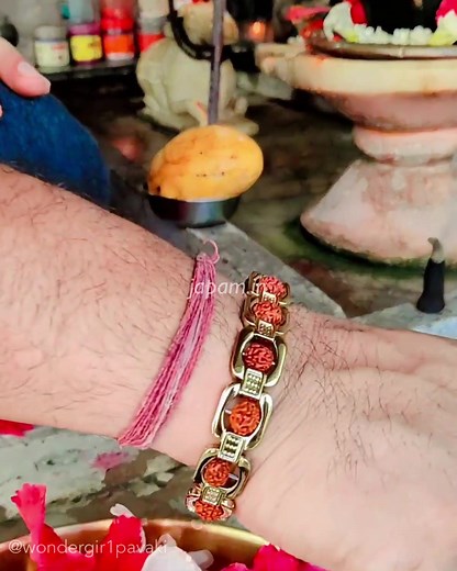 🕉️ Original Rudraksha beads in our new Essential Gold Plated bracelet - from our Premium range. ✅ High quality metal ✅ Long lasting Gold plating ✅ 6 months replacement | Japam