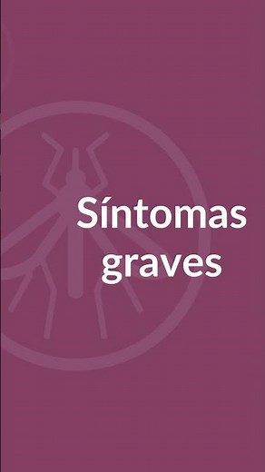 Síntomas del dengue
