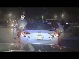 Illinois trooper shot: Shocking video reveals violent confrontation