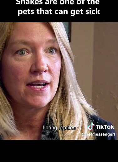 #cute #fyp #fouryou #sneakers | snakes