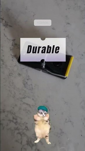 TwinTech Rat Snap Traps