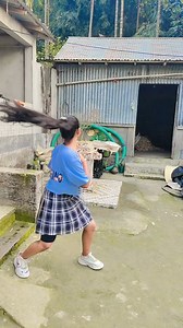 Ek chumma #trendingreel #dance #viralchallenge | Dipali Pandit Nath