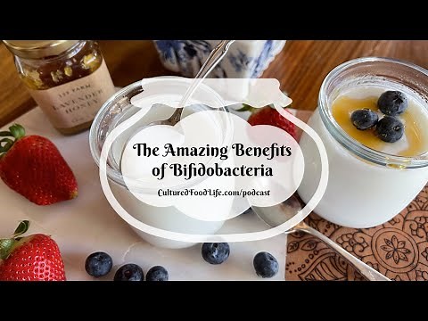 Podcast Episode 297: The Amazing Benefits of Bifidobacteria