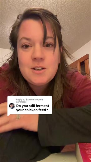 22K views · 179 reactions | Moore Fermented chicken feed wasn’t the perfect option for our large, Free Range chicken flock, but it may be a good option for you. Here are a few things to think about as you consider whether to ferment or not ferment | The Little Red Farm | Facebook