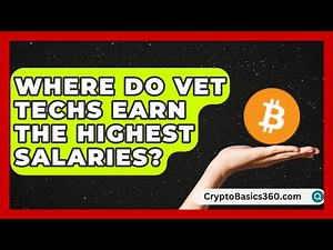 Where Do Vet Techs Earn the Highest Salaries? | Animal Care Jobs