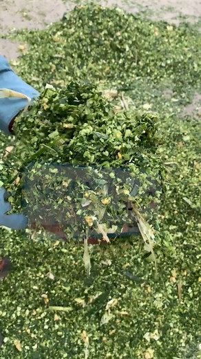 3.9K views · 43 reactions | Silage Machine | Silage Machine for...