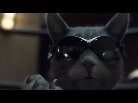 Cats & Dogs: The Revenge Of Kitty Galore (2010) Meet Catherine + High Flying Chase