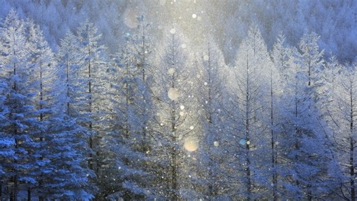 2025年12月!?巨大地震に備えよ【 都市伝説ニュース 】 コヤッキースタジオ