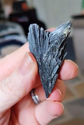 Sharing my crystal collection💫 My Black Kyanite Crystal...
