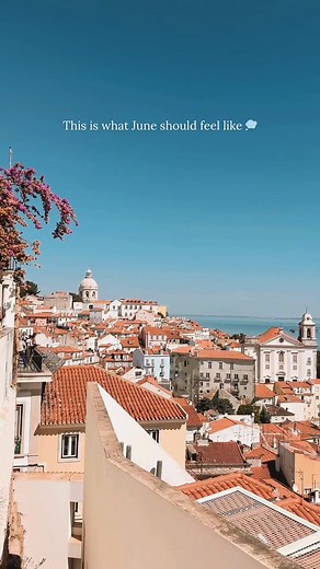 Summer’s not booked until your trip is. Let’s fix that. 🌞 | Total Access Travel Co