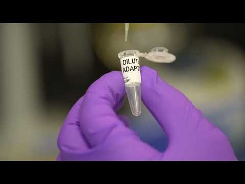 NEBNext Tech Tips: Adaptor Ligation Tips