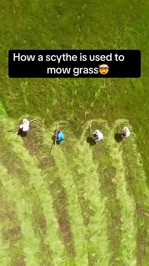 This is fascinating🤯🤯 #Pubity (IG: mhmetozcn )